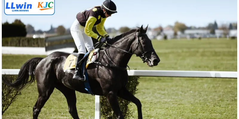 4 công thức chơi đua ngựa bất bại