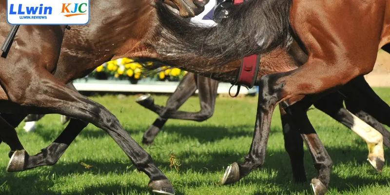 Sức hấp dẫn game đua ngựa